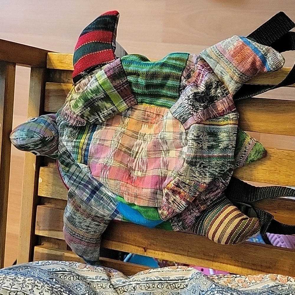 Turtle backpack